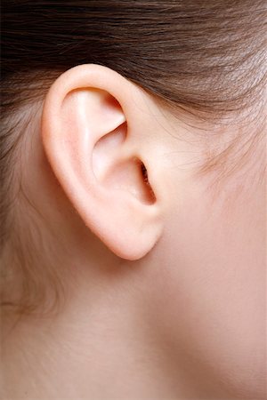 Beauty shot of woman's ear Stock Photo - Premium Royalty-Free, Code: 644-01437096