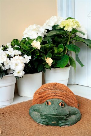 door welcome doormat - Plants with decorative frog Stock Photo - Premium Royalty-Free, Code: 644-01437141