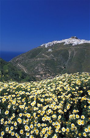 simsearch:644-01630775,k - Mountain village with daisies in foreground Stock Photo - Premium Royalty-Free, Code: 644-01630692