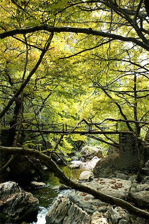 simsearch:644-01630775,k - River flowing through forest Stock Photo - Premium Royalty-Free, Code: 644-01630793