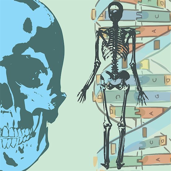 human skeleton cartoon. Collage with human skeleton