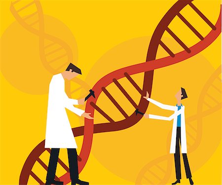 dna helix - Two scientists fixing dna Stock Photo - Premium Royalty-Free, Code: 645-02153621