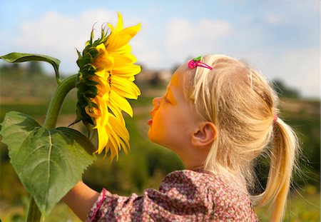 smell - Girl smelling sunflower outdoors Foto de stock - Sin royalties Premium, Código: 649-05556048