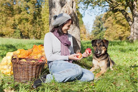 Woman picking apples with dog Stock Photo - Premium Royalty-Free, Code: 649-05649611