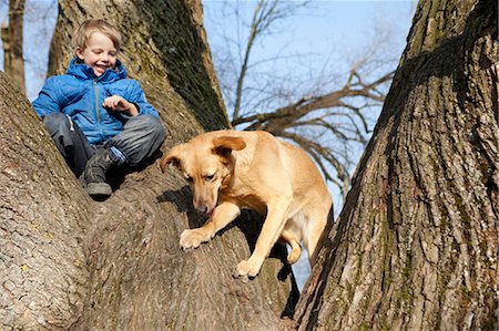 Boy and dog climbing tree together Stock Photo - Premium Royalty-Free, Code: 649-05820846