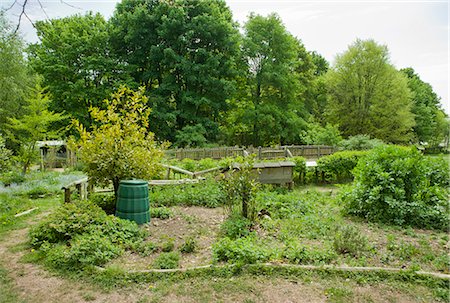 Jardin de la durabilité dans le parc rural Photographie de stock - Premium Libres de Droits, Code: 649-06000605