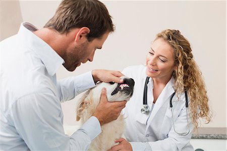 simsearch:649-06000982,k - Veterinarians examining dog in office Stock Photo - Premium Royalty-Free, Code: 649-06000978