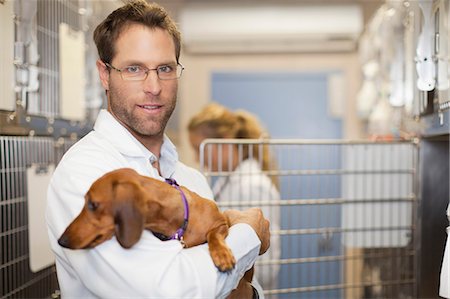 dogs working together - Veterinarian holding dog in kennel Stock Photo - Premium Royalty-Free, Code: 649-06000994