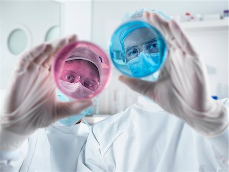 Scientists examining petri dishes in lab Stock Photo - Premium Royalty-Free, Code: 649-06164779