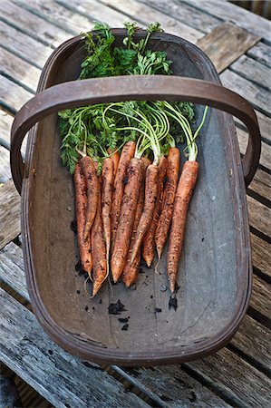 farm vegetables - Basket of fresh carrots Stock Photo - Premium Royalty-Free, Code: 649-06165118