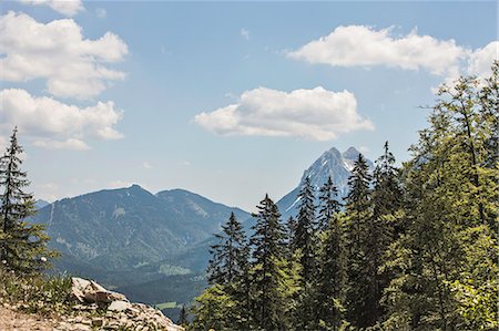 Trees overlooking rocky mountains Foto de stock - Sin royalties Premium, Código: 649-06352789