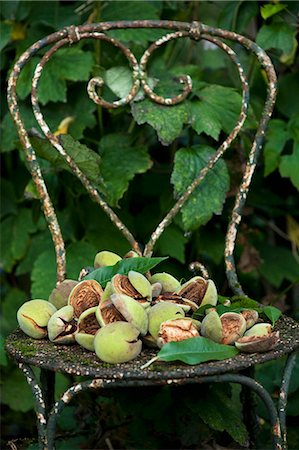 Fresh almonds in pods on chair Stock Photo - Premium Royalty-Free, Code: 649-06352890