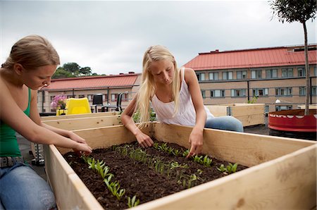 Teenage girls working in plant box Stock Photo - Premium Royalty-Free, Code: 649-06352945