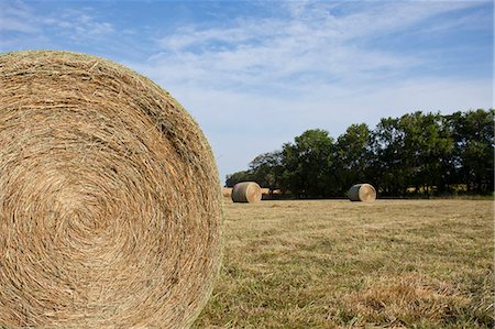 Close up of hay bale in field Stock Photo - Premium Royalty-Free, Code: 649-06352989