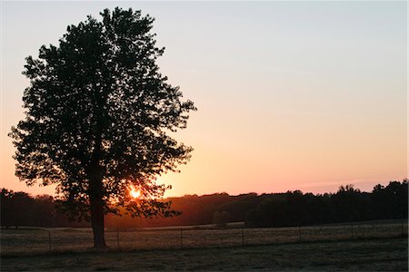 Sun setting over rural landscape Stock Photo - Premium Royalty-Free, Code: 649-06352993