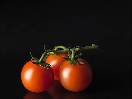 Close up of tomatoes on vine Stock Photo - Premium Royalty-Free, Code: 649-06400584