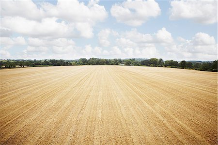 simsearch:649-06401239,k - Aerial view in tilled crop field Stock Photo - Premium Royalty-Free, Code: 649-06401218