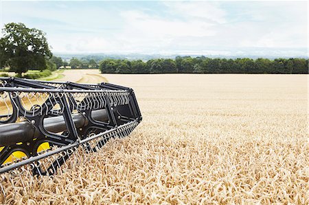 simsearch:649-06401239,k - Harvester working in crop field Stock Photo - Premium Royalty-Free, Code: 649-06401241