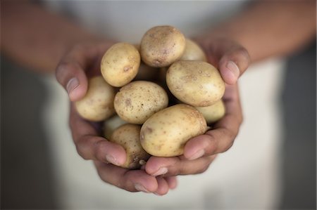 recolección - Close up of hands holding potatoes Foto de stock - Sin royalties Premium, Código: 649-06432390