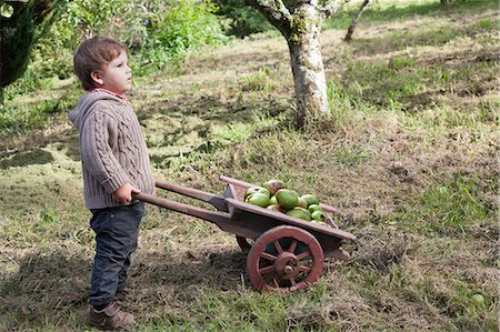 Toddler boy pushing wheelbarrow of fruit Stock Photo - Premium Royalty-Free, Code: 649-06432434