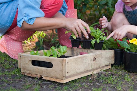 Mother and daughter gardening together Stock Photo - Premium Royalty-Free, Code: 649-06432661