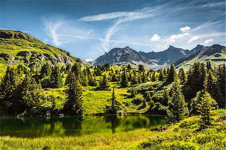 peaceful - Sun rising over grassy rural hillside Foto de stock - Sin royalties Premium, Código: 649-06433175