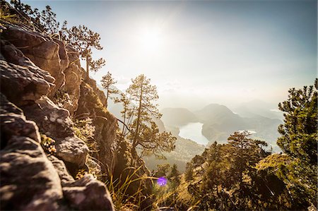 Plants growing on rocky rural hillside Stock Photo - Premium Royalty-Free, Code: 649-06433196