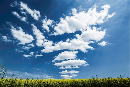 simsearch:649-06432787,k - Clouds over grassy rural landscape Stock Photo - Premium Royalty-Free, Code: 649-06433191