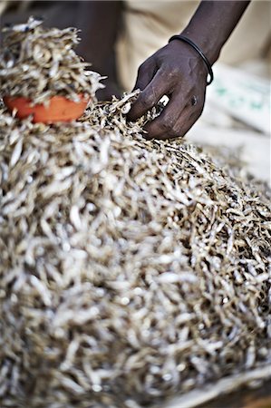 Maasai man picking up a handful of Kapenta fish Stock Photo - Premium Royalty-Free, Code: 649-06433221