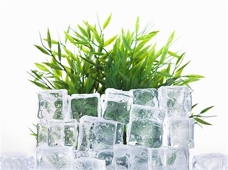 qualitat - Stacked ice cubes by green plant Stock Photo - Premium Royalty-Free, Code: 649-06433639