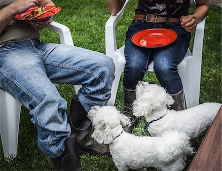 Dogs begging for owners food Stock Photo - Premium Royalty-Free, Code: 649-06488956