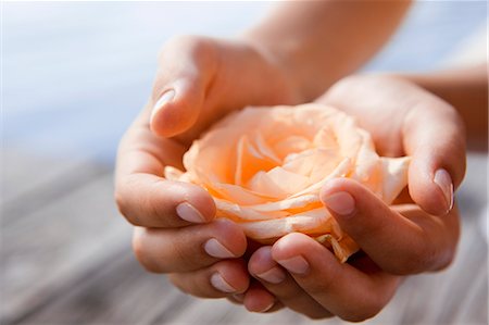 single rose - Woman cupping rose in hands Stock Photo - Premium Royalty-Free, Code: 649-06489153