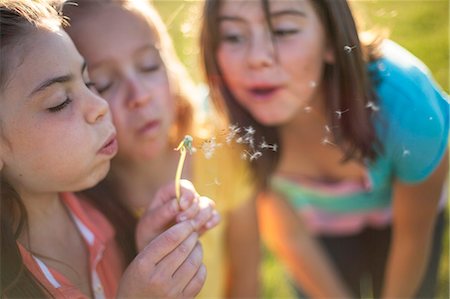 Girls blowing dandelion outdoors Stock Photo - Premium Royalty-Free, Code: 649-06622473