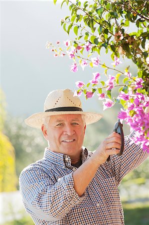 senior lifestyle - Older man gardening outdoors Stock Photo - Premium Royalty-Free, Code: 649-06716691