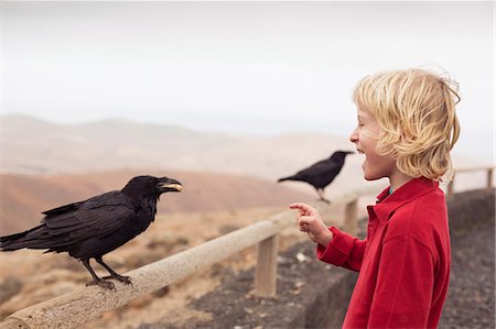 Boy feeding crow on fence Foto de stock - Sin royalties Premium, Código: 649-06717302