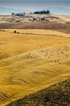 Distant view of farmhouse beyond fields, Tuscany, Italy Stock Photo - Premium Royalty-Free, Code: 649-06829877