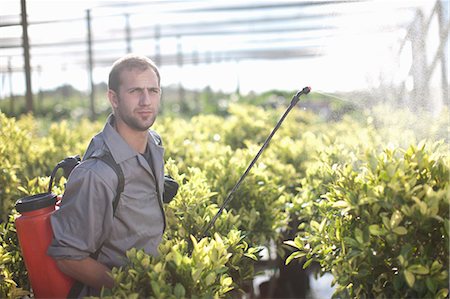 simsearch:649-07280682,k - Young man spraying pesticide in plant nursery Photographie de stock - Premium Libres de Droits, Code: 649-06844187