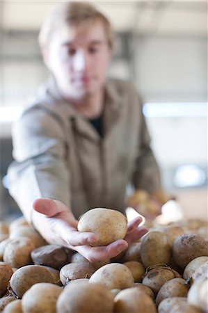 paper - Young man holding potato Foto de stock - Sin royalties Premium, Código: 649-06844230