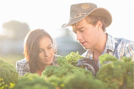 farmer looking at farm photos - Female and male workers looking at vegetables growing on farm Stock Photo - Premium Royalty-Free, Code: 649-06844255