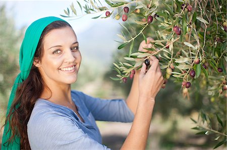 reap - Woman picking olives  in olive grove, portrait Stock Photo - Premium Royalty-Free, Code: 649-06844351