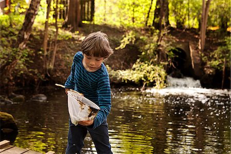 photos of little boy fishing - Boy looking into fishing net Stock Photo - Premium Royalty-Free, Code: 649-06845017