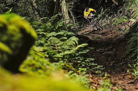 people mountain biking - Man mountain biking through forest Foto de stock - Sin royalties Premium, Código: 649-06845144