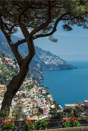 simsearch:649-02054287,k - Pine tree and houses on hillside, Positano, Amalfi Peninsula, Campania, Italy Stock Photo - Premium Royalty-Free, Code: 649-07064005