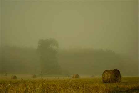 simsearch:649-07560533,k - Field of haystacks on overcast day Photographie de stock - Premium Libres de Droits, Code: 649-07238440