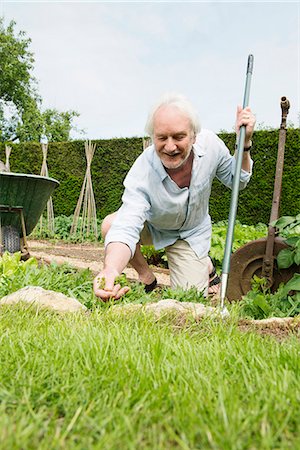 family gardening - Senior man gardening Stock Photo - Premium Royalty-Free, Code: 649-07238605