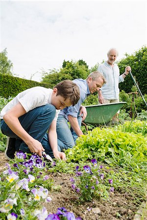 family gardening - Grandfather, father and son gardening Stock Photo - Premium Royalty-Free, Code: 649-07238601