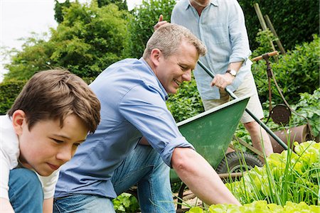 father grandson - Father and son gardening Stock Photo - Premium Royalty-Free, Code: 649-07238602