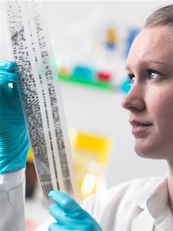 Scientist holding DNA autoradiogram in laboratory Photographie de stock - Premium Libres de Droits, Code: 649-07279851