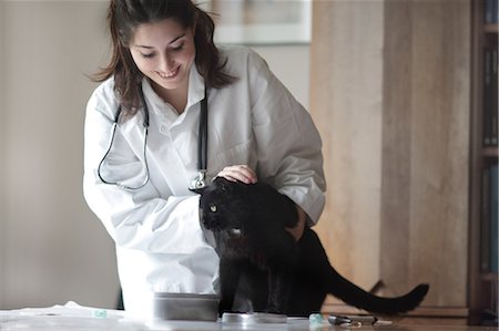 pat - Veterinarian examining black cat Stock Photo - Premium Royalty-Free, Code: 649-07436715