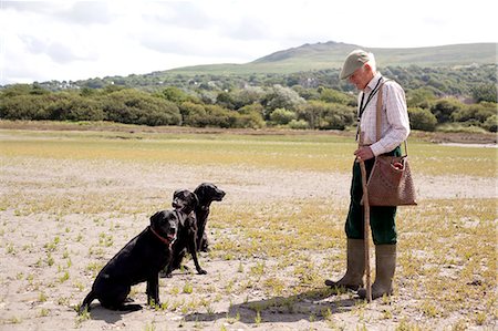 seniors with pets - Senior man with three black labradors Stock Photo - Premium Royalty-Free, Code: 649-07437707